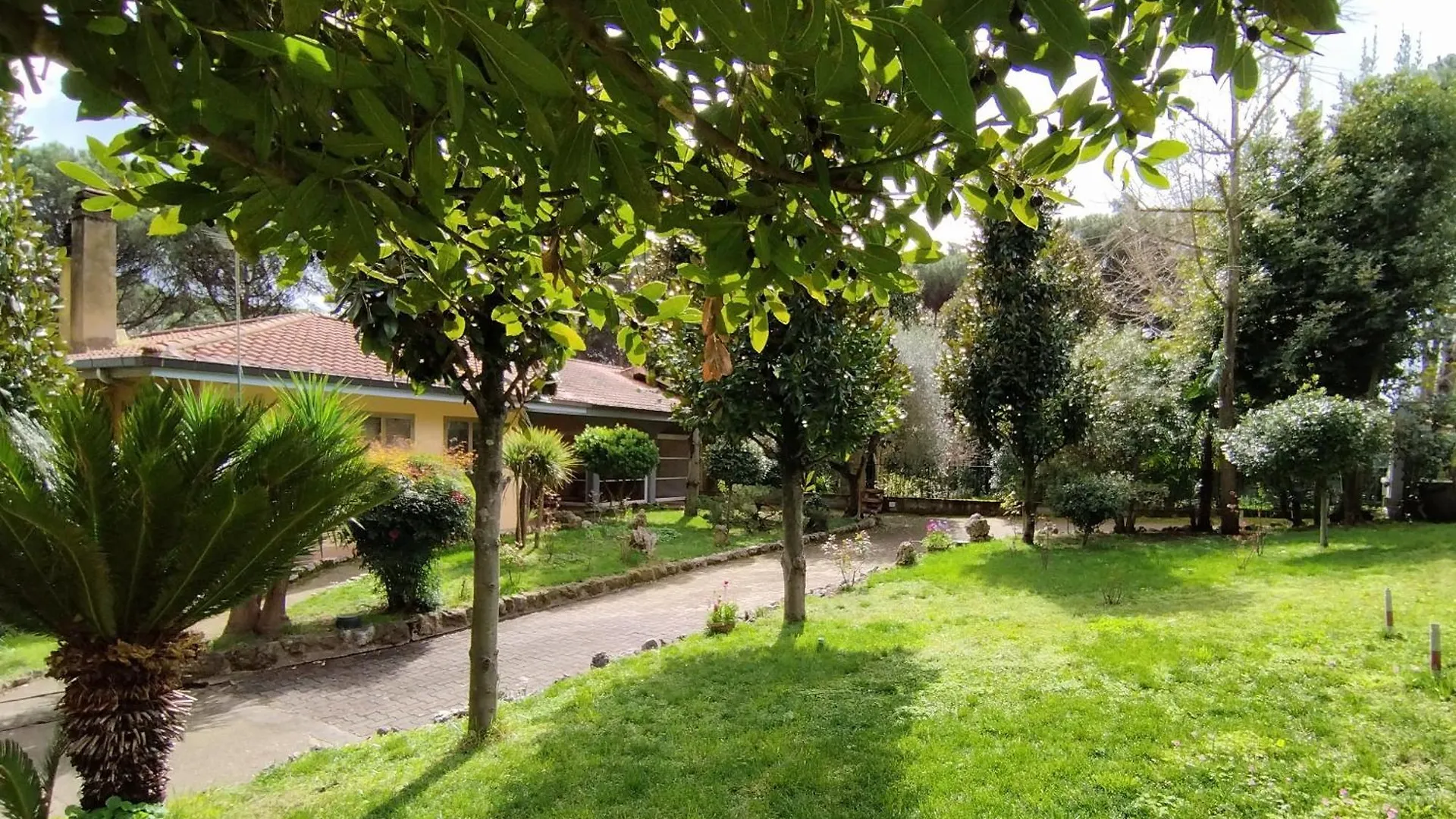 Bed & Breakfast Vivas Rubra B&B Rome Italy