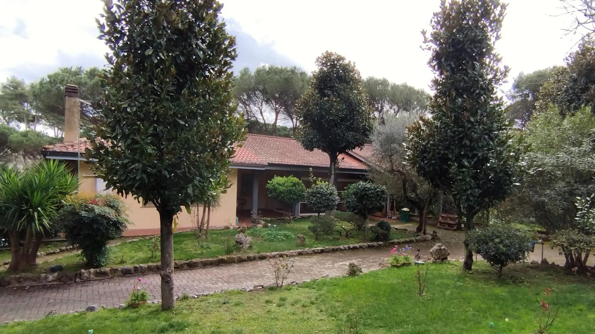Vivas Rubra B&B Rome Bed & Breakfast