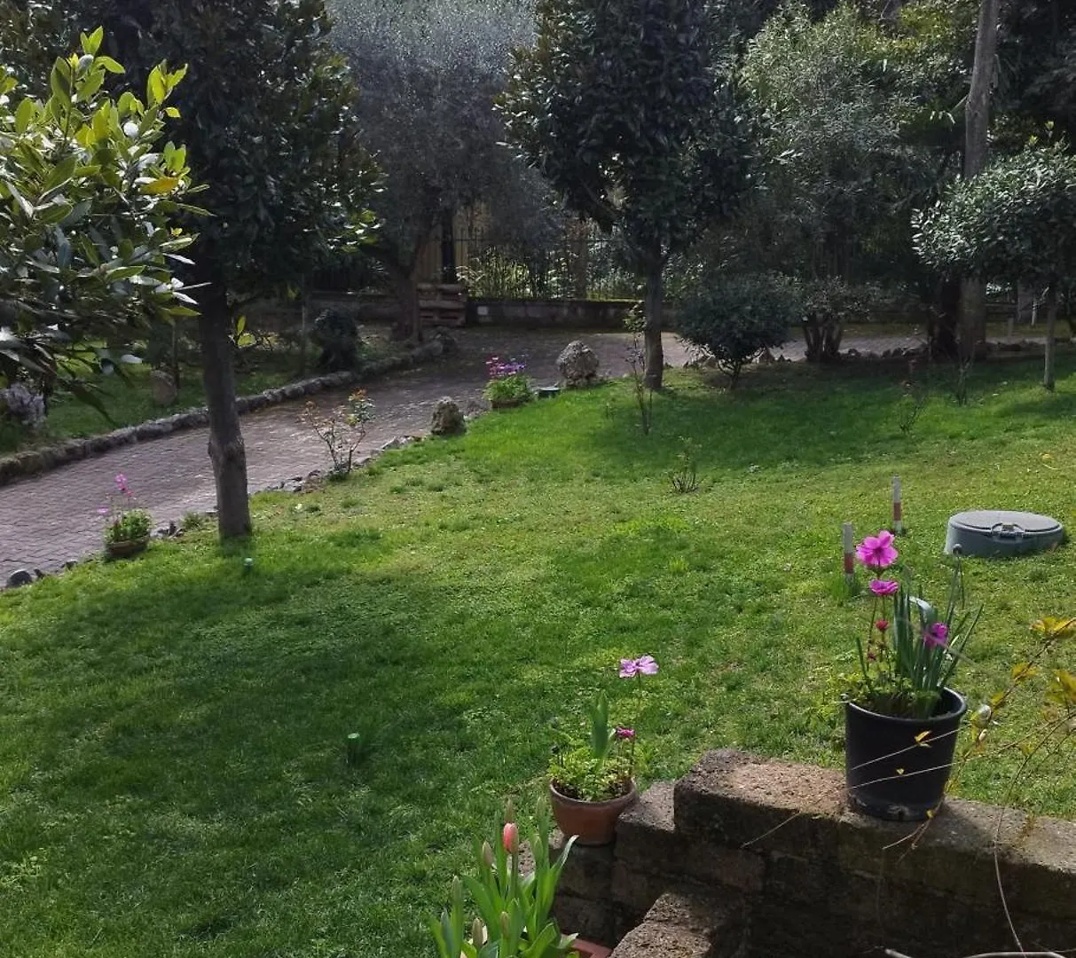 Bed & Breakfast Vivas Rubra B&B Rome
